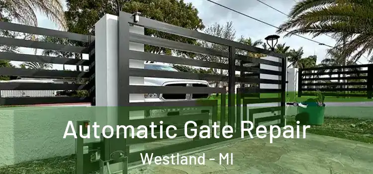 Automatic Gate Repair Westland - MI