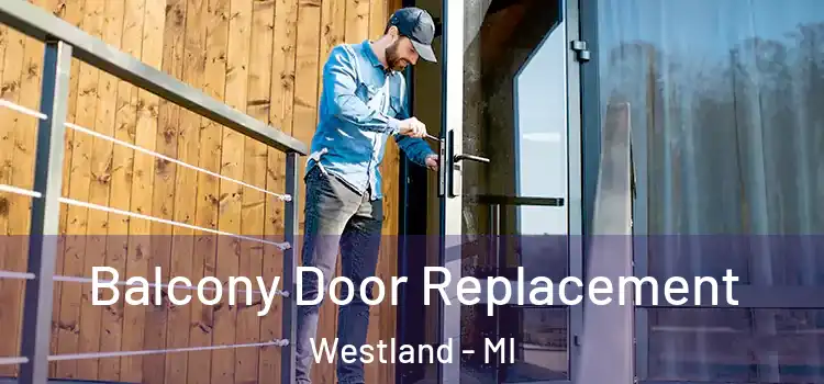  Balcony Door Replacement Westland - MI