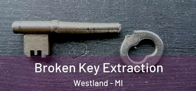  Broken Key Extraction Westland - MI