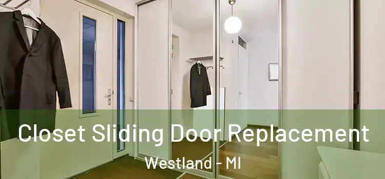  Closet Sliding Door Replacement Westland - MI