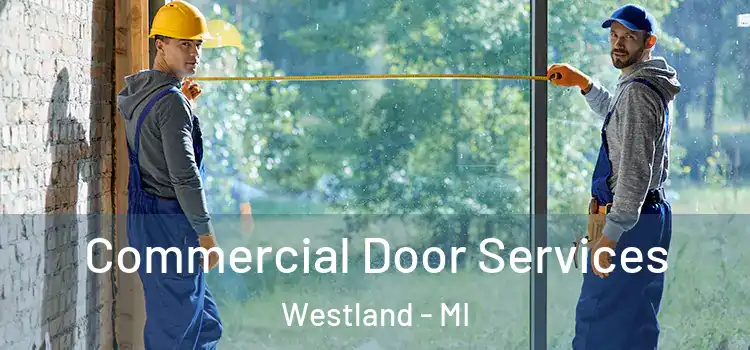 Commercial Door Services Westland - MI