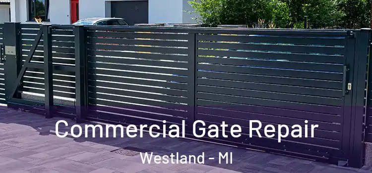 Commercial Gate Repair Westland - MI