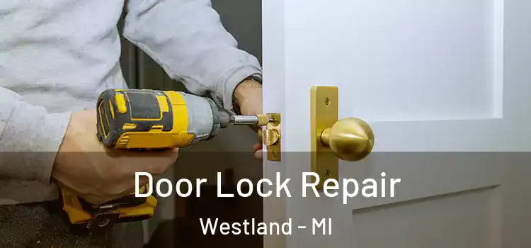 Door Lock Repair Westland - MI