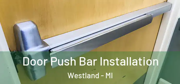 Door Push Bar Installation Westland - MI