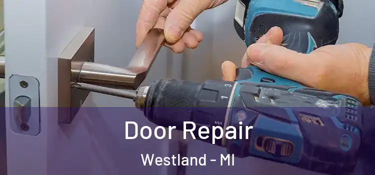 Door Repair Westland - MI