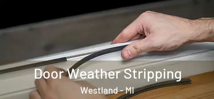 Door Weather Stripping Westland - MI