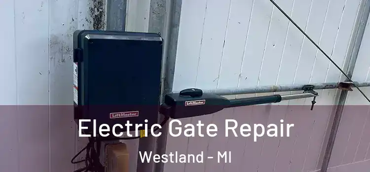 Electric Gate Repair Westland - MI