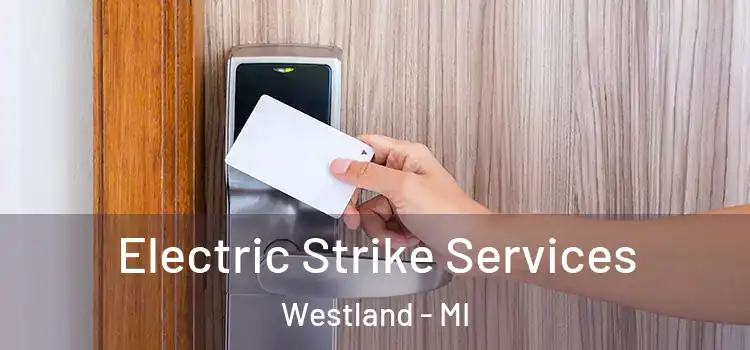 Electric Strike Services Westland - MI