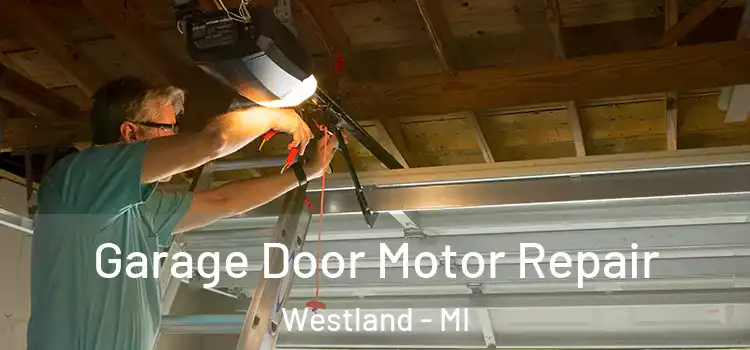  Garage Door Motor Repair Westland - MI