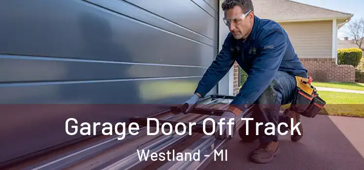 Garage Door Off Track Westland - MI