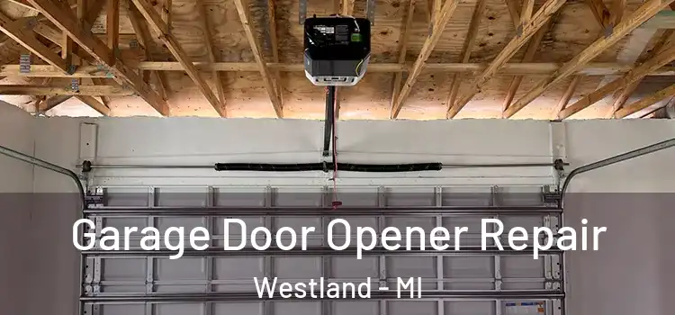  Garage Door Opener Repair Westland - MI