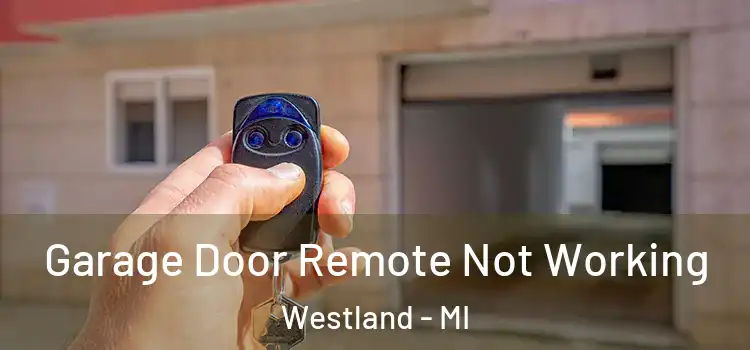  Garage Door Remote Not Working Westland - MI