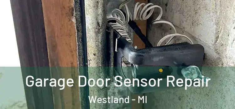 Garage Door Sensor Repair Westland - MI