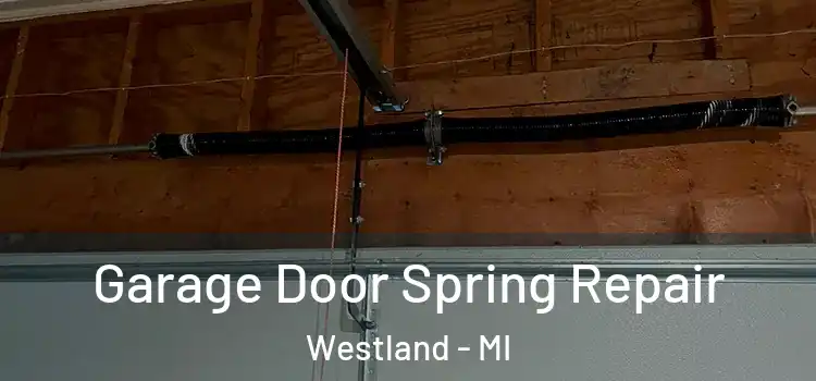  Garage Door Spring Repair Westland - MI