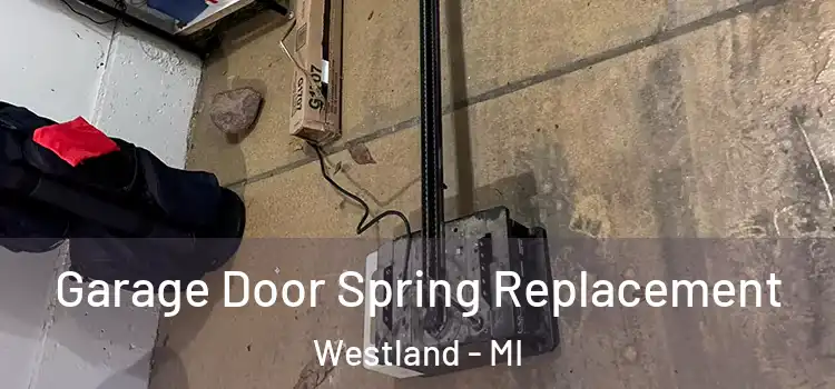  Garage Door Spring Replacement Westland - MI