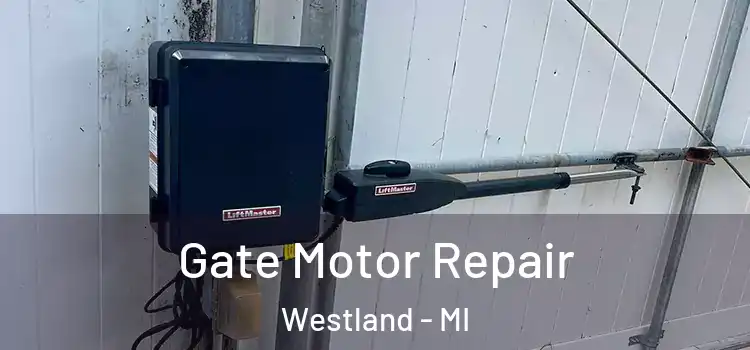 Gate Motor Repair Westland - MI