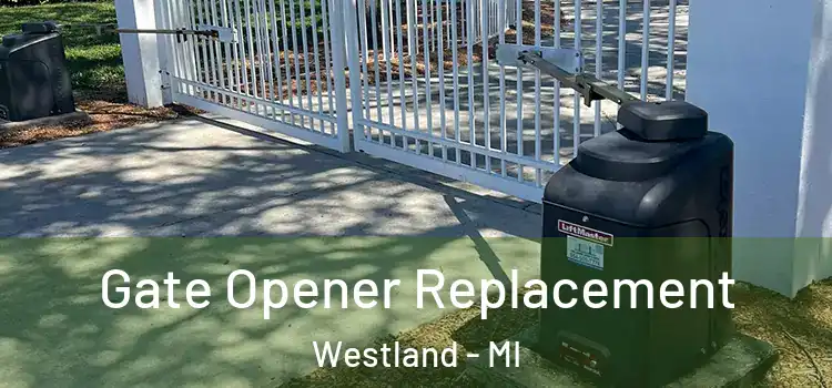 Gate Opener Replacement Westland - MI