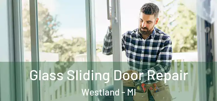  Glass Sliding Door Repair Westland - MI