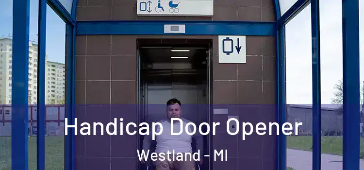 Handicap Door Opener Westland - MI