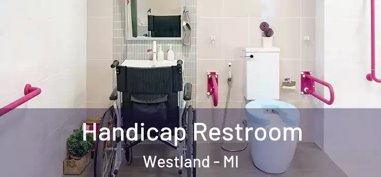  Handicap Restroom Westland - MI