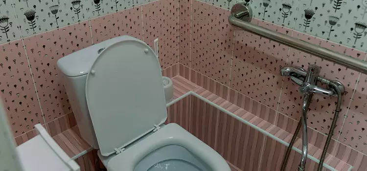 Meeting Diverse Needs With Accessible Restroom Solutions in Westland, MI
