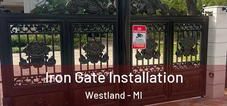  Iron Gate Installation Westland - MI