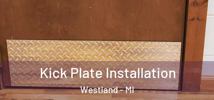  Kick Plate Installation Westland - MI