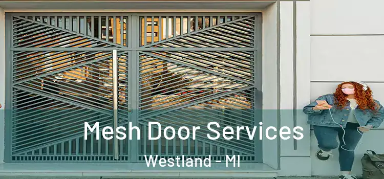 Mesh Door Services Westland - MI