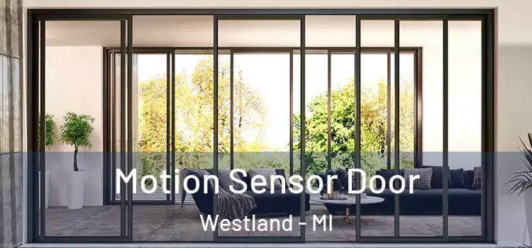  Motion Sensor Door Westland - MI