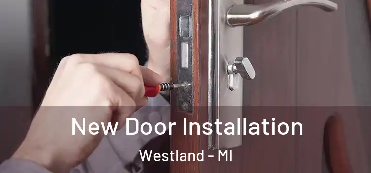  New Door Installation Westland - MI