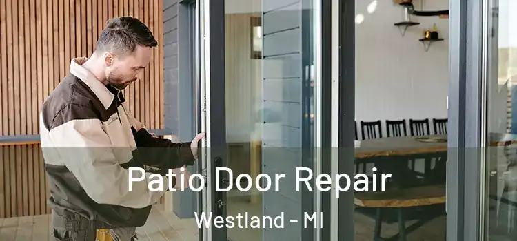 Patio Door Repair Westland - MI