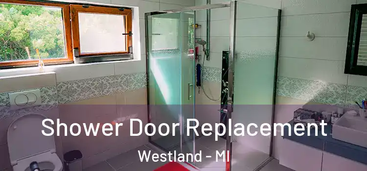 Shower Door Replacement Westland - MI