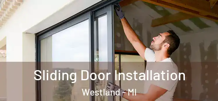  Sliding Door Installation Westland - MI