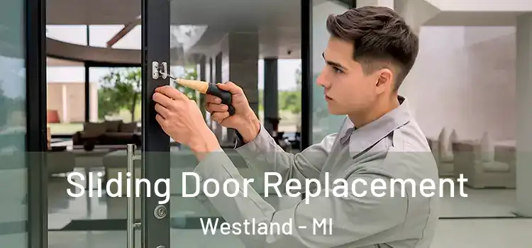 Sliding Door Replacement Westland - MI