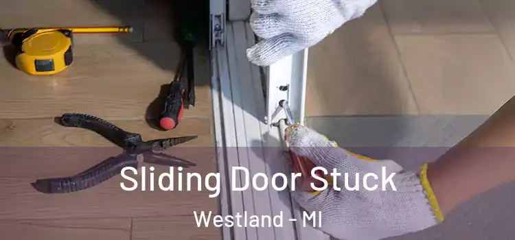  Sliding Door Stuck Westland - MI