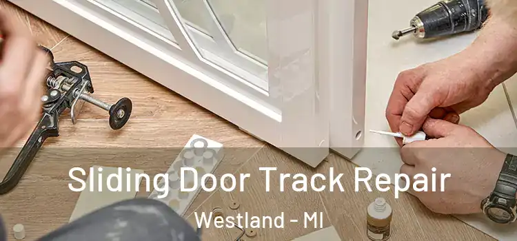  Sliding Door Track Repair Westland - MI