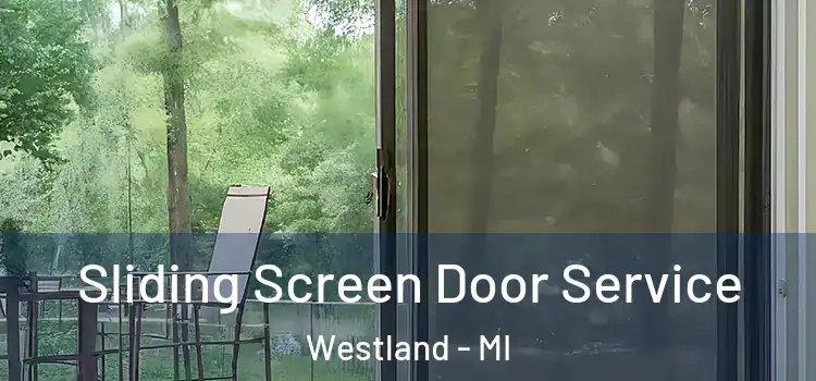 Sliding Screen Door Service Westland - MI
