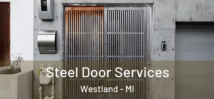 Steel Door Services Westland - MI